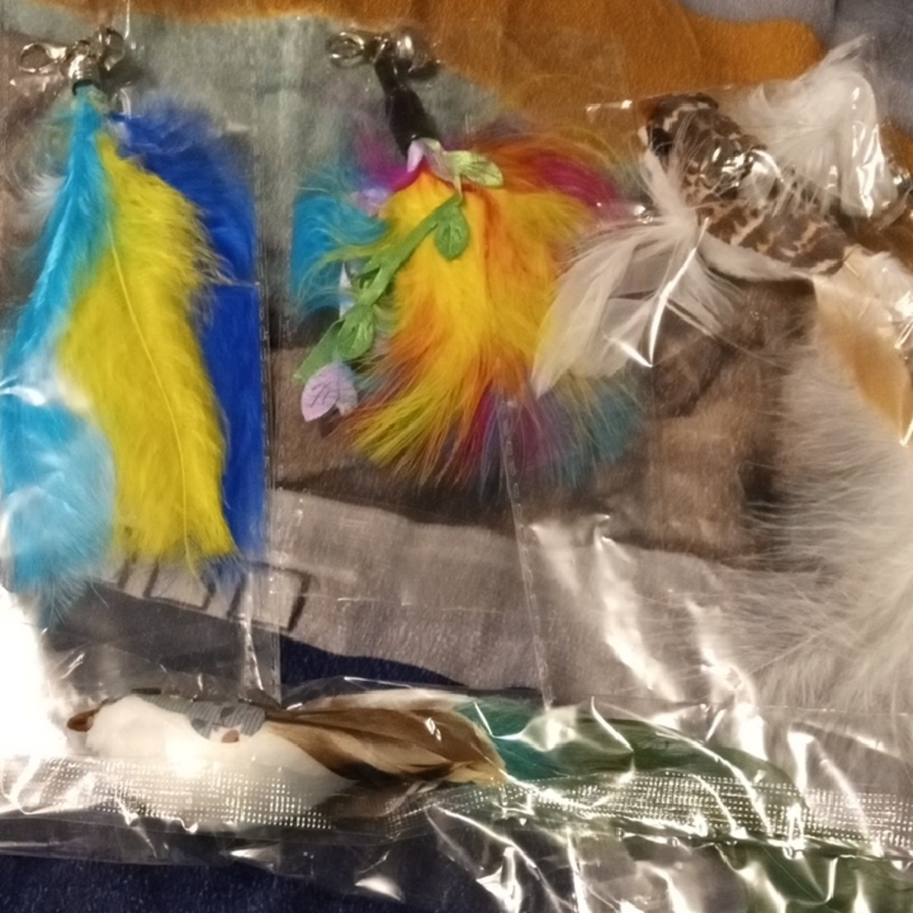NWT Feather And Bird Keychains